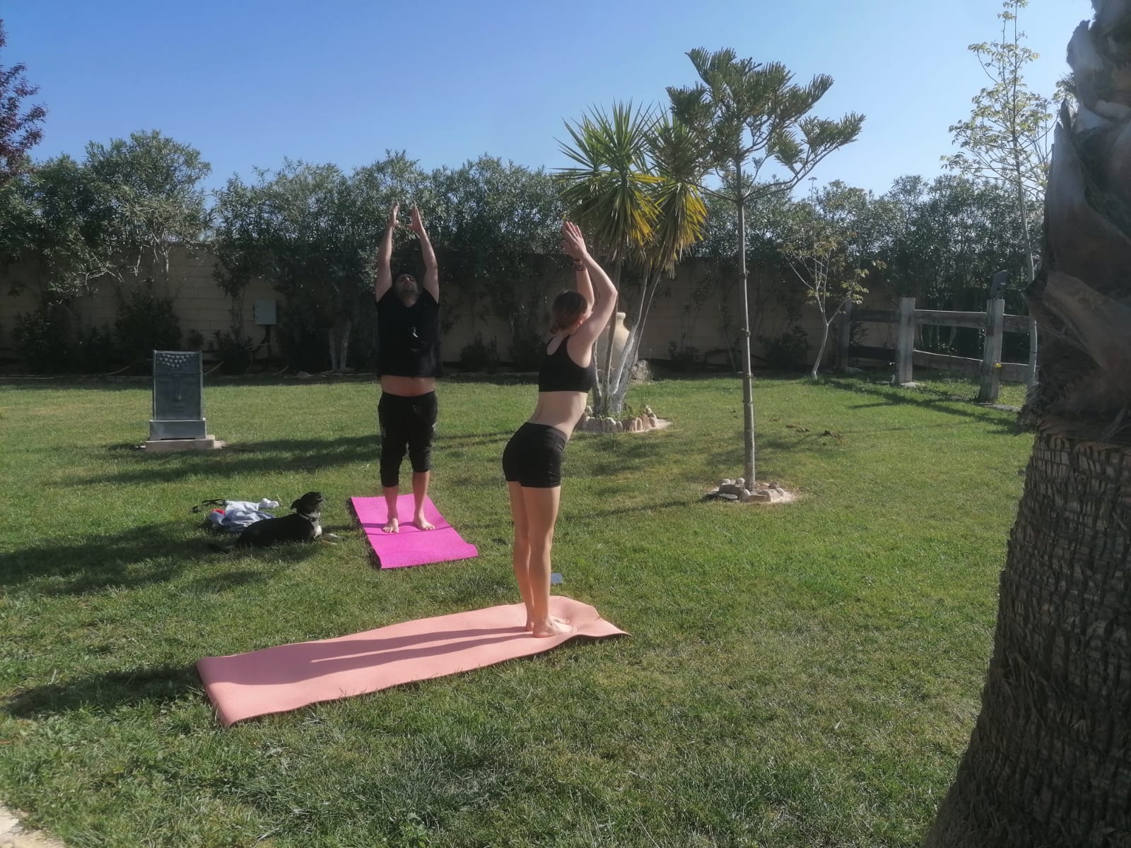 Yoga en Sierra Morena